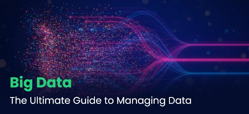 big data guide 2025